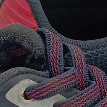 LEVI'S Sneaker low Bild 5