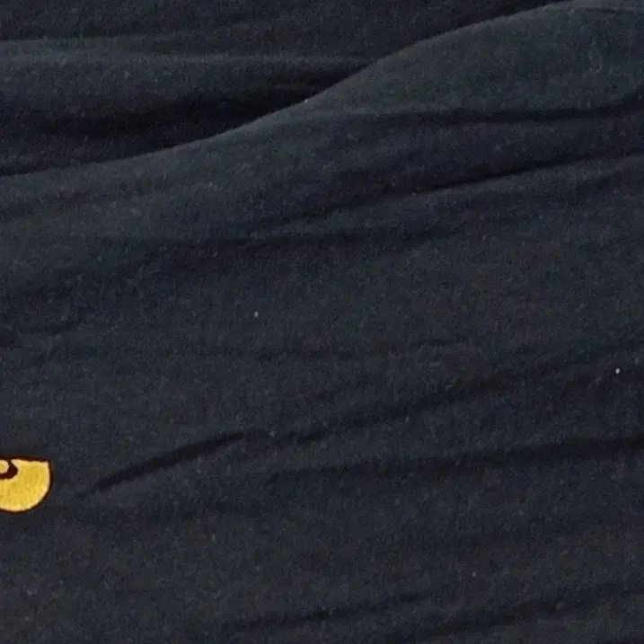 CARHARTT Langarmshirt Bild 2