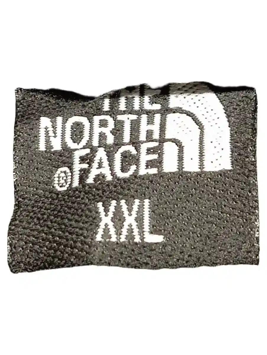 THE NORTH FACE Softshelljacke Bild 2