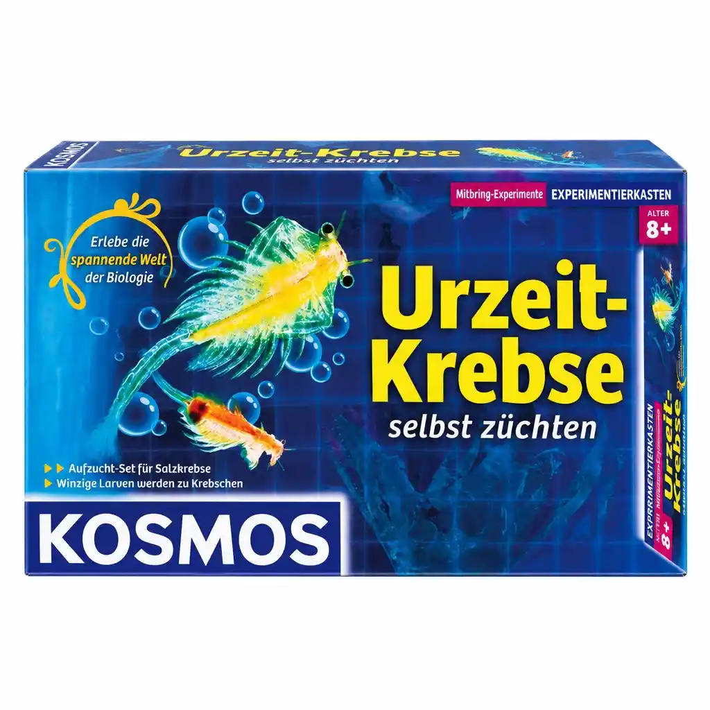 Lernspiele & Experimentierkästen
