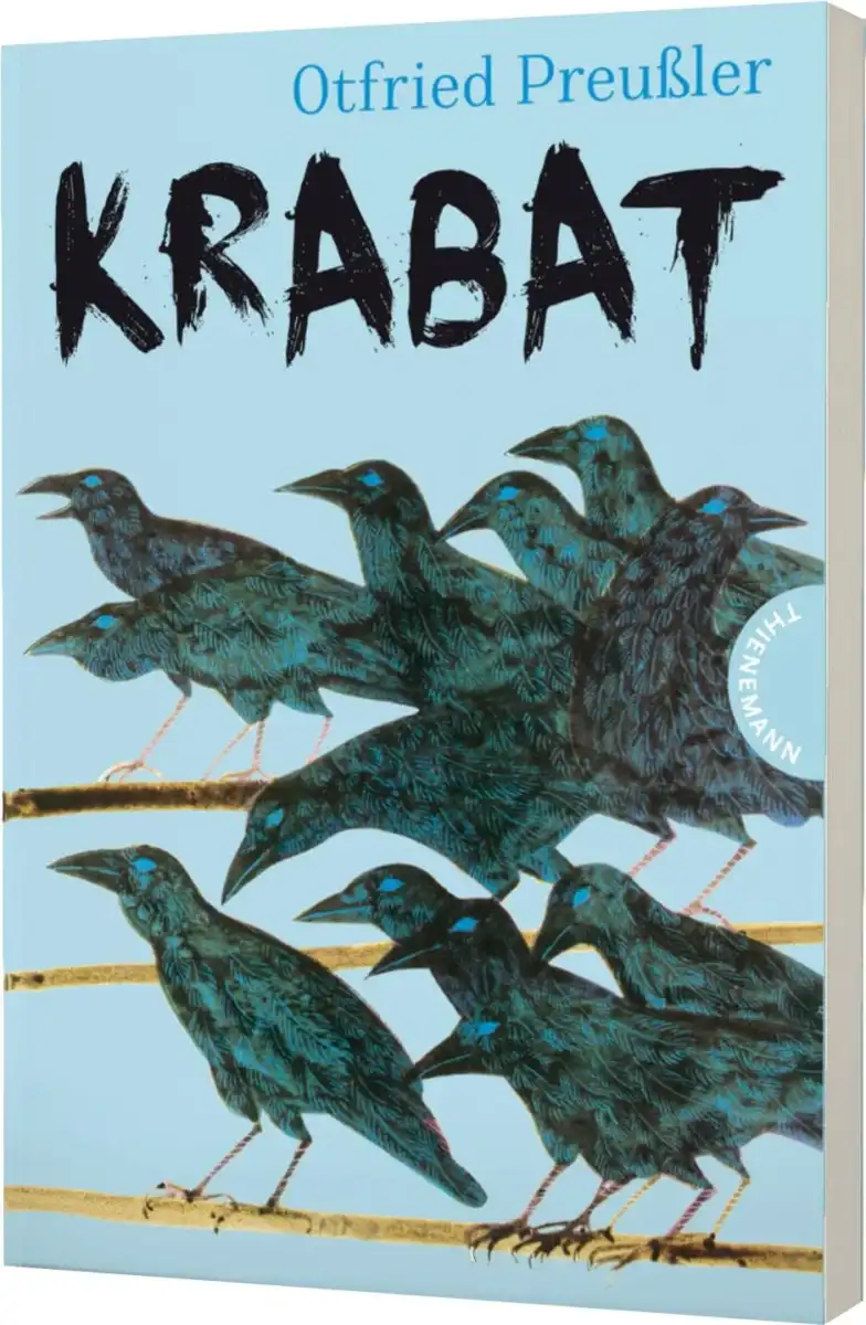 Buch für Jugendliche