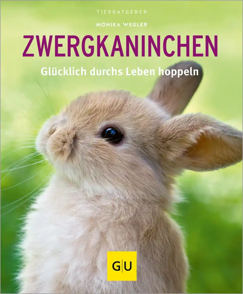 Hobbybuch