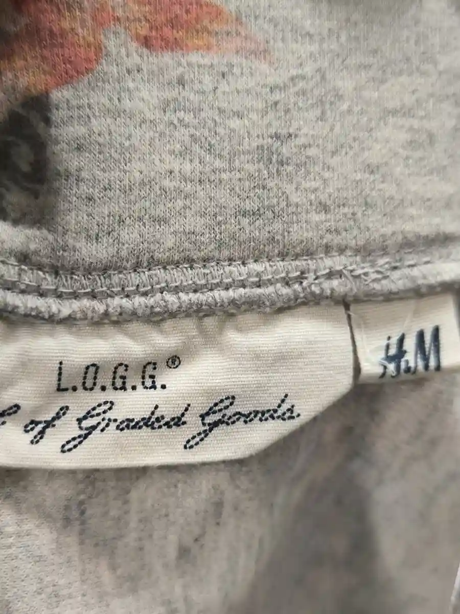 H&M L.O.G.G. A-Linienrock Bild 3