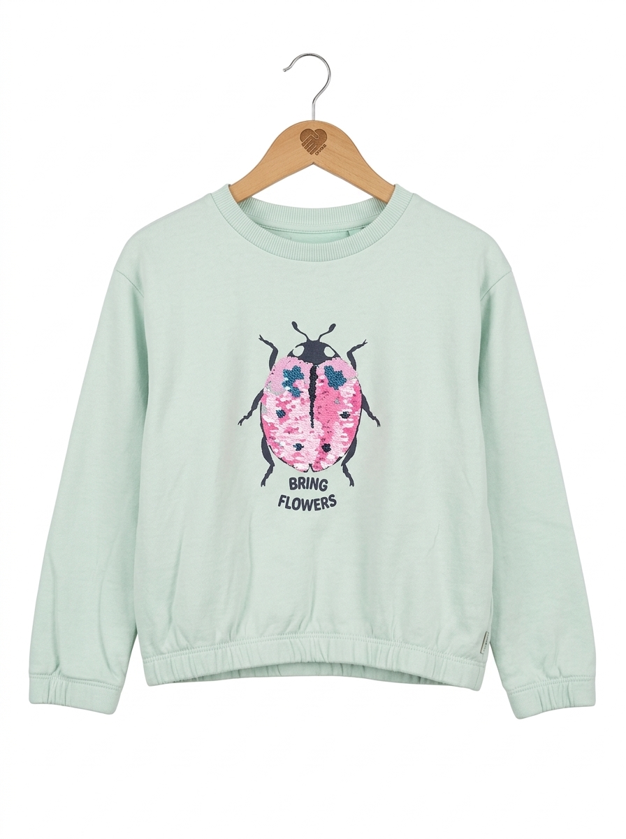 Tom Tailor Mädchen Pullover Gr. 104/110 Marienkäfer Pailletten Mint 1